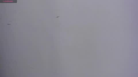 Snapshot of valka_ross chatting on October 13, 11:18 pm VALKA ROSS online show from October 13, 11:18 pm