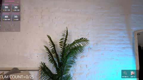 CLEOshort hair  TIna long hair  online show from February 4, 5:45 pm