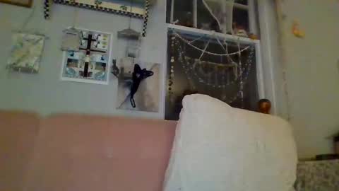 venuskisth online show from January 9, 8:13 am