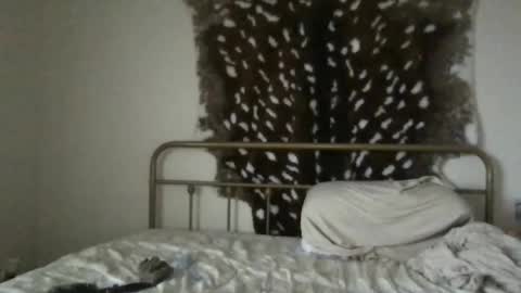 venustheflytrap online show from November 25, 8:51 pm