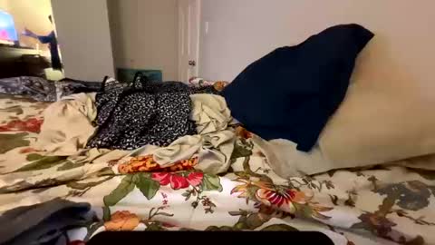 Veronica Lake online show from October 13, 11:34 am