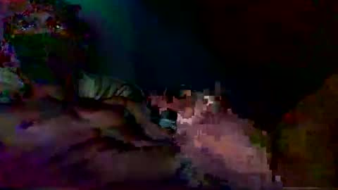 vicente online show from February 3, 11:52 pm