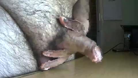 VictorHume online show from September 18, 10:36 pm