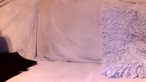 Alex online show from December 7, 6:10 pm