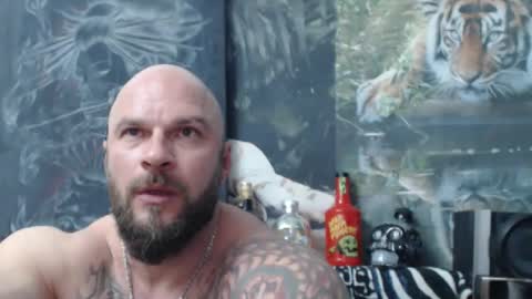 viking online show from April 18, 6:32 pm