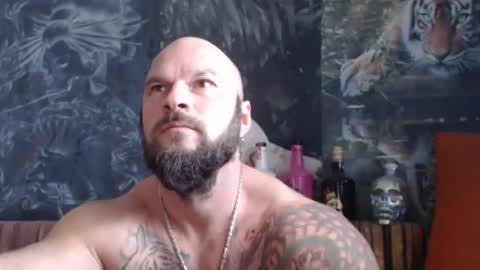 viking online show from October 2, 9:19 am