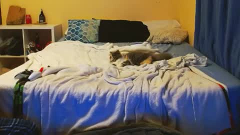 Sanji online show from April 28, 7:01 am