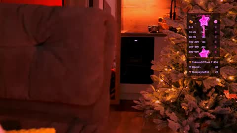 virtual_muse_bc online show from December 20, 6:04 pm