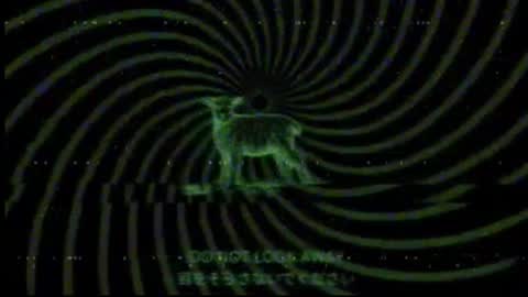 vortexspecter online show from February 11, 8:01 pm