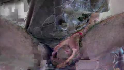 vype121 online show from February 1, 11:46 pm