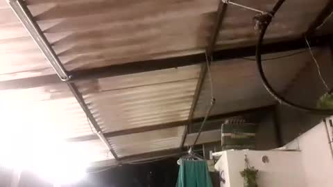 Snapshot of wake_and_bakee chatting on January 12, 2:14 am John online show from January 12, 2:14 am