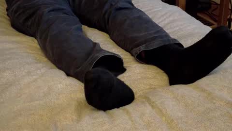 I love the ol in-n-out  online show from January 15, 3:48 am