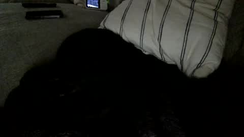 wantstofuck32 online show from September 25, 5:42 pm