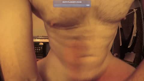 Snapshot of wappyflanker chatting on December 11, 2:54 pm wappyflanker online show from December 11, 2:54 pm