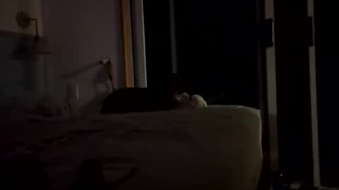 watershed111111 online show from January 14, 3:58 am