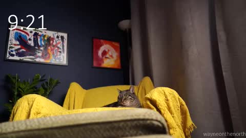 waynenorth online show from September 21, 3:05 pm