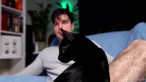 waynenorth online show from March 11, 2:31 pm