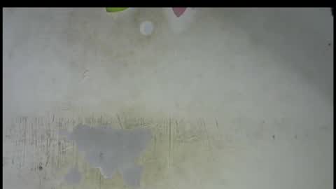 Bella online show from February 15, 7:34 pm