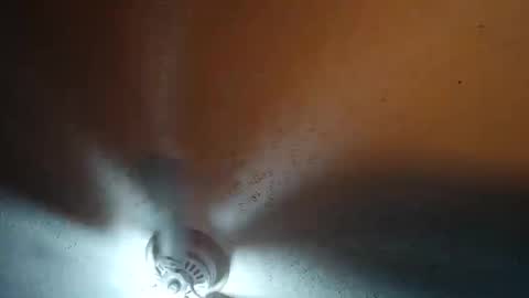 wetduck77777 online show from January 12, 8:32 am