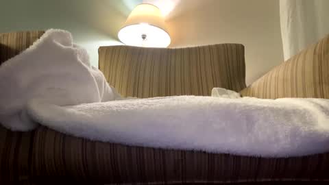 weweeworld online show from November 24, 8:02 am