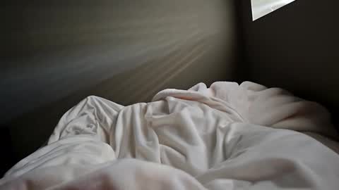 what_whaaat online show from September 20, 6:44 pm