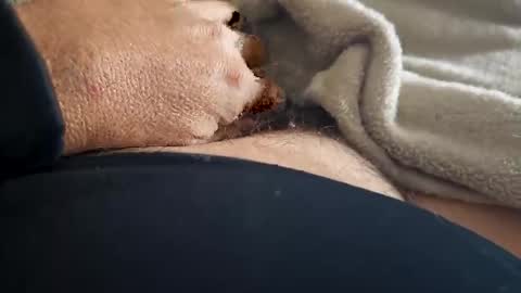 what_whaaat online show from November 2, 5:18 am