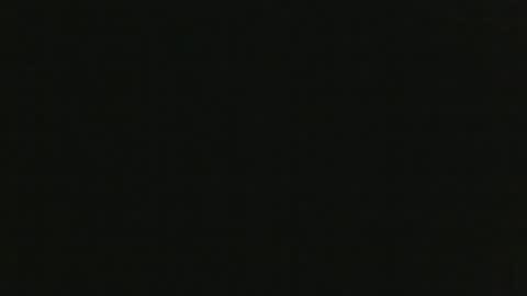 whitehead_lion online show from January 18, 1:14 am