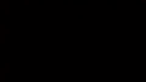 whitehead_lion online show from March 1, 9:15 pm