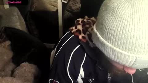 wilclyde1996 online show from February 15, 6:06 pm