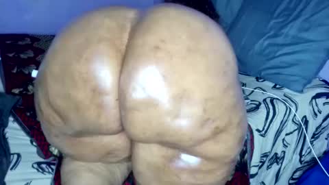 wilmaassylum online show from February 11, 11:36 am