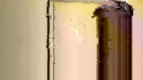 wilmergregorioreyortega online show from November 16, 6:10 pm