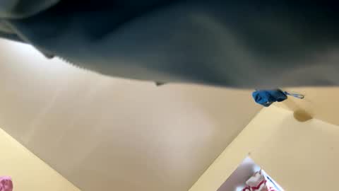 wilmergregorioreyortega online show from September 22, 7:18 pm