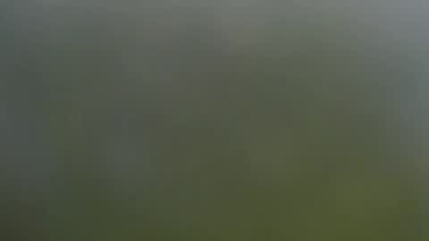 Wisa Randy online show from November 11, 6:10 pm