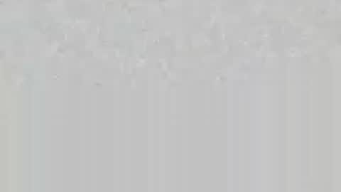 wolfsand online show from June 16, 6:56 pm
