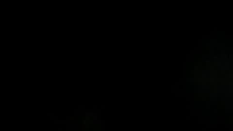 wolker_allan online show from January 15, 4:27 pm