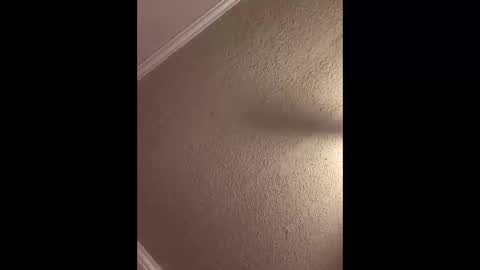 Woodpipe69 online show from October 3, 2:47 pm