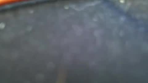 wrangleat0r online show from January 28, 11:50 pm