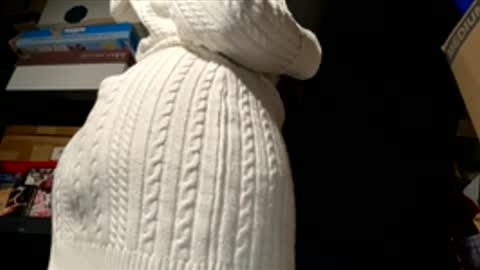 Wynter Heat online show from February 4, 7:07 pm