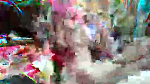 xixo6969 online show from February 13, 11:19 pm