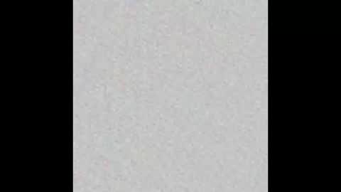 JSSD online show from February 28, 11:47 am