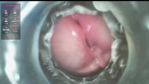 xoxowtf online show from December 1, 9:39 pm