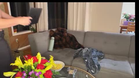 xXKissessInTheDarkXx online show from December 5, 4:55 am