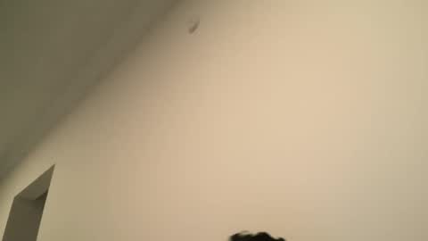 Dick  Ass online show from February 15, 6:55 pm