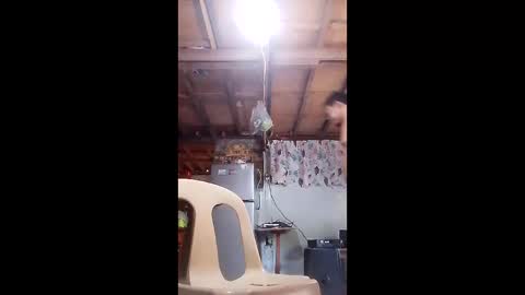 yael19510 online show from December 23, 9:48 am