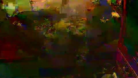 yangolox3 online show from October 7, 9:00 pm