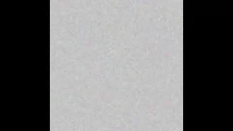 .     y e l l o w s n a k e s       . online show from March 16, 7:12 am