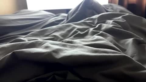 yorkyman71 online show from April 4, 10:33 am