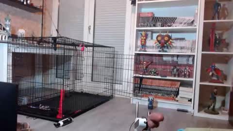 Owned by Hell On Heels online show from February 19, 7:02 pm