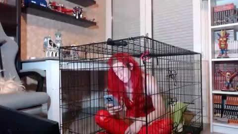 Owned by Hell On Heels online show from February 20, 8:22 pm