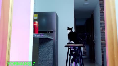 INSTAGRAM yormanfit7 online show from November 26, 11:40 am